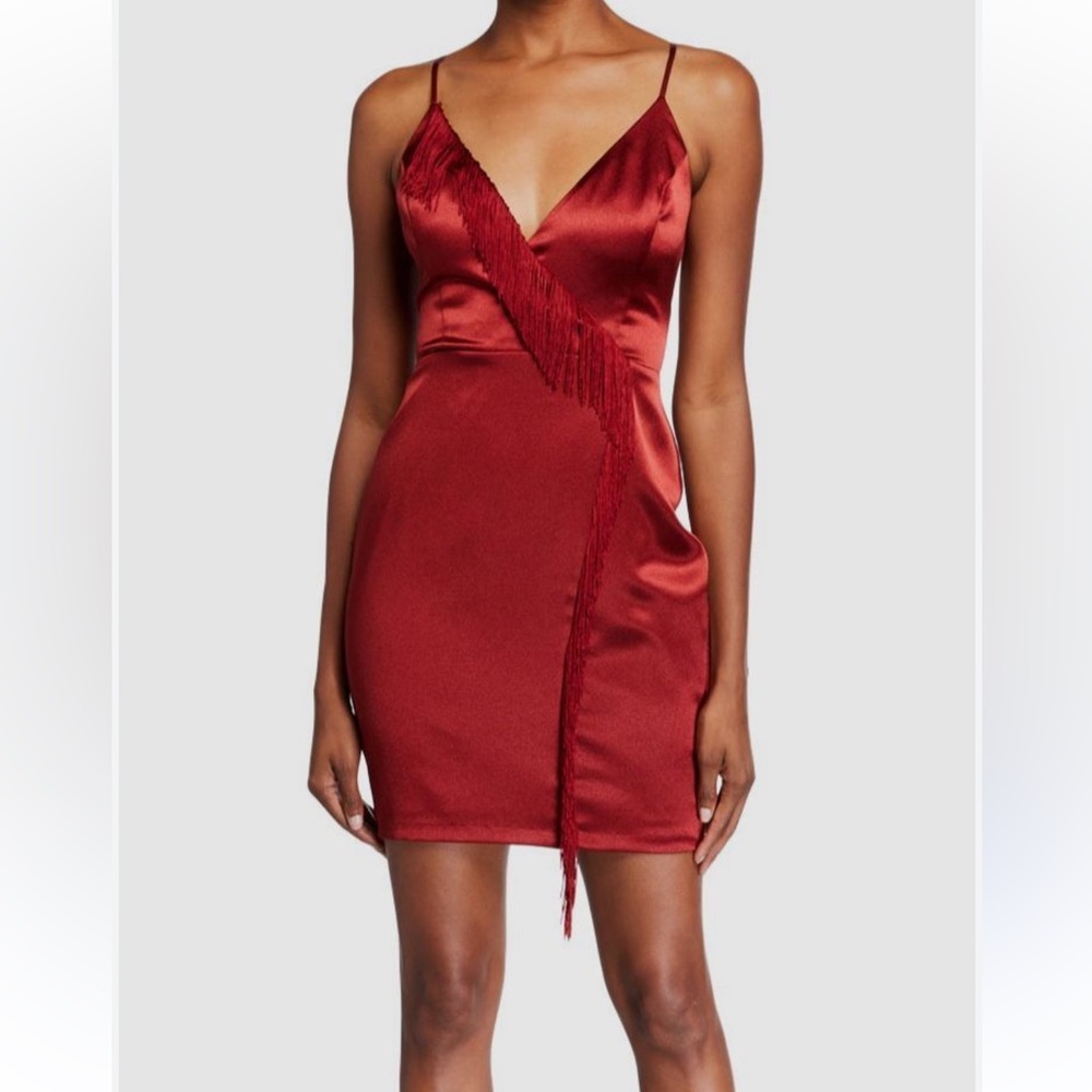 NWT Aiden satin and fringe dress